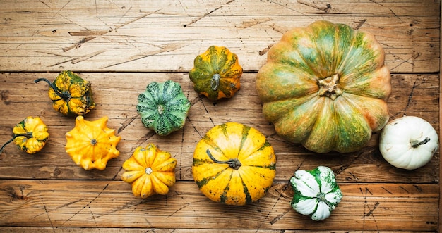 Biobauernhof orange weiße und grüne Kürbisse auf rustikalem hölzernem Küchentisch Herbstlebensmittel Draufsicht