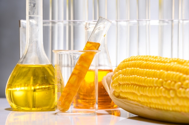Biocombustível a partir de milho, óleo e solução de biocombustível.