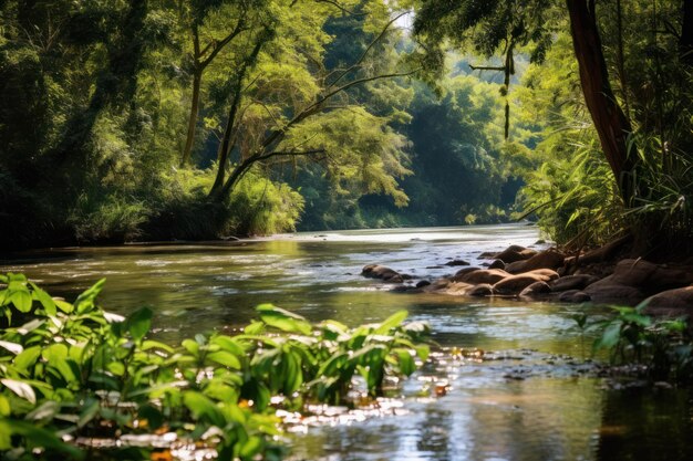 Biodiversität entlang eines Paradieses am Flussufer