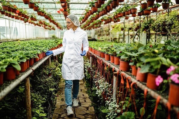 Bióloga caminando por un vivero de plantas y examinando el crecimiento de plantas en macetas