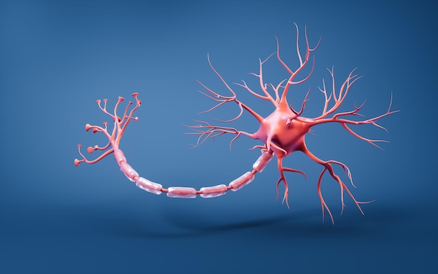 Biologia célula nervosa com conceito de biomedicina renderização 3D