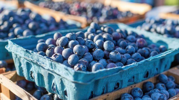 Biologische Blaubeeren auf dem Markt