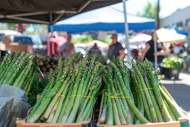 Biologische Spargel auf dem Markt