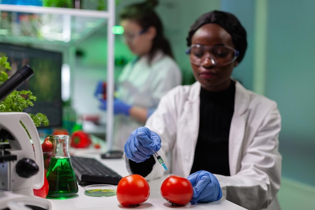 Biólogo afroamericano inyectando tomate con pesticidas químicos usando una jeringa médica examinando vegetales modificados genéticamente para el experimento de transgénicos. Equipo diverso de científicos que trabajan en el laboratorio de biología