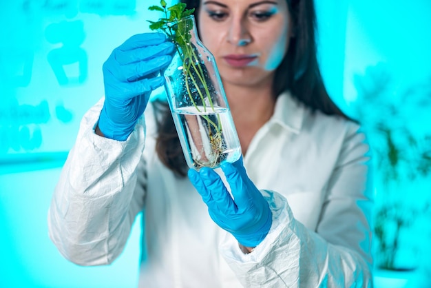 Biólogo examinando las raíces de las plantas