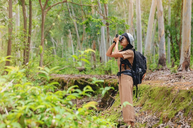 Biólogo ou botânico registrando informações, fotografia sobre plantas tropicais na floresta.