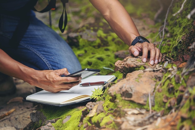 Biólogo ou botânico registrando informações sobre pequenas plantas tropicais na floresta.