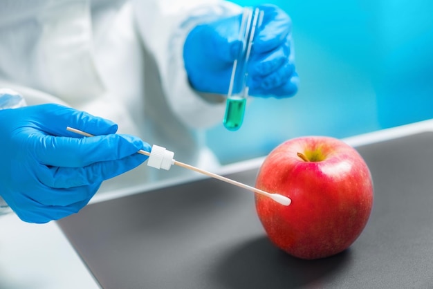Biólogo que examina la manzana para los pesticidas