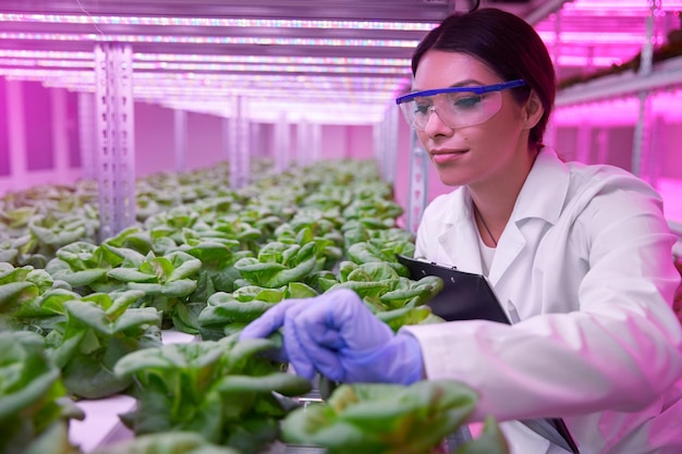 Biólogo sorridente verificando plantas em crescimento em laboratório