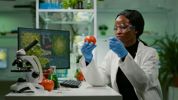 Bioquímico africano com luvas médicas injetando tomate orgânico com pesticidas