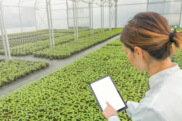 Foto biotechnologie-ingenieurin tablet-gewächshaus pflanzensämlinge wachsen im gewächshaus im frühling