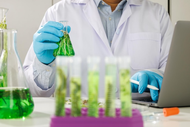Biotecnología Médico que usa tableta y verifica con el proyecto de la industria de biocombustibles Investigación de algas en laboratorios industriales para medicina Ciencia médica y biotecnología