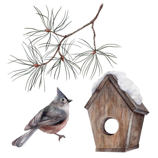 Bird pine birdhouse Conjunto de acuarela Para impresiones impresión pegatinas etiquetas identidad corporativa diseño web invitaciones patrones Atributo de vacaciones de invierno Dibujado a mano