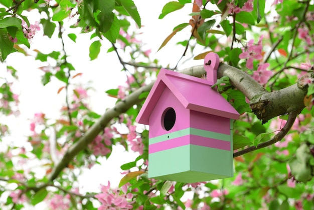 Birdhouse em jardim ao ar livre