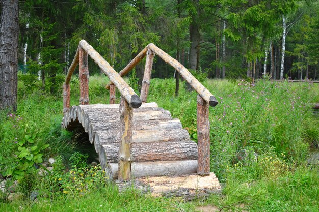 Birkenhain. Ruhiger, gemütlicher Ort in der Natur.