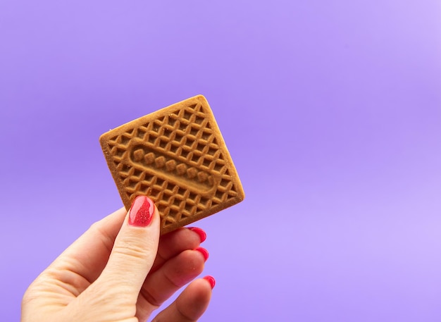 Biscoito quadrado único segurado pela mão feminina Feche a foto do estúdio isolada em fundo violeta