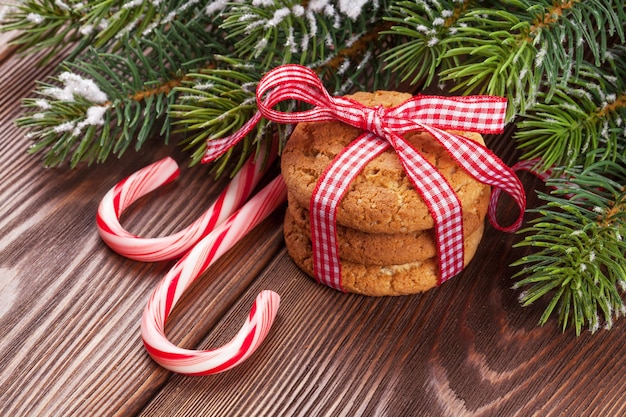 Biscoitos de gengibre de natal cana-de-doces e galho de árvore