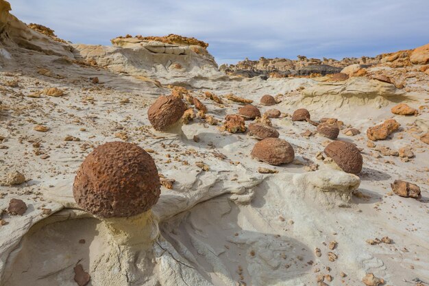 Foto bisti