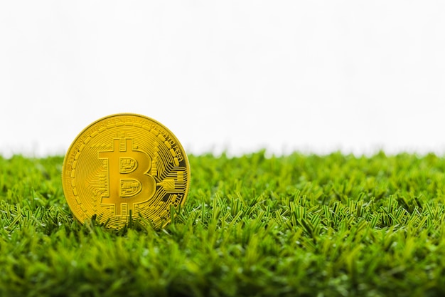 Bitcoin Cryptocurrency Digital Bit Coin BTC moneda tecnología negocio Internet Concept.
