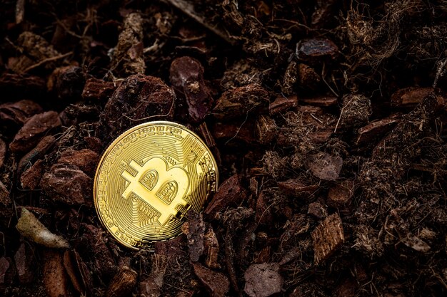 Bitcoin de mineração de bitcoin borrifado com terra próximo a ele é uma pequena pá