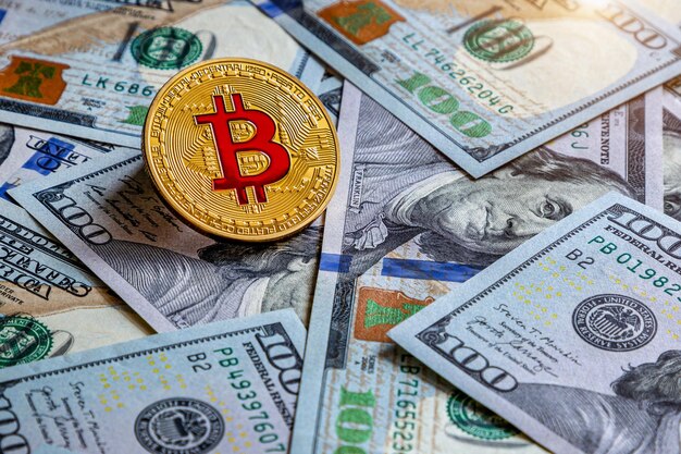 Bitcoin y dólares La moneda digital del mundo