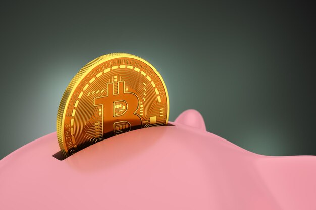 Bitcoin ins Sparschwein stecken