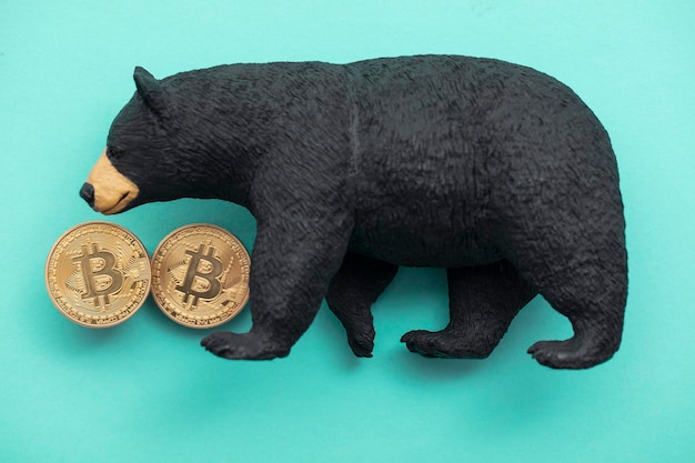 Bitcoin-Kryptowährungsmünze mit einem Grizzlybären. Bärischer Bitcoin-Handel.
