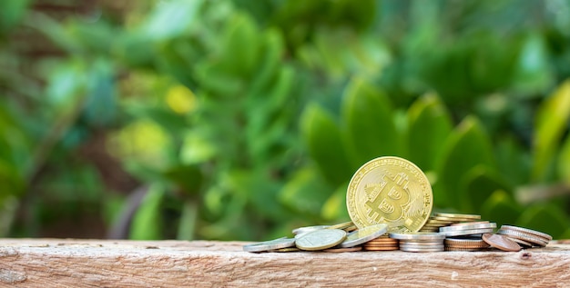 Bitcoin y monedas en la naturaleza borrosa