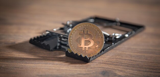 Bitcoin en la trampa del ratón Moneda virtual