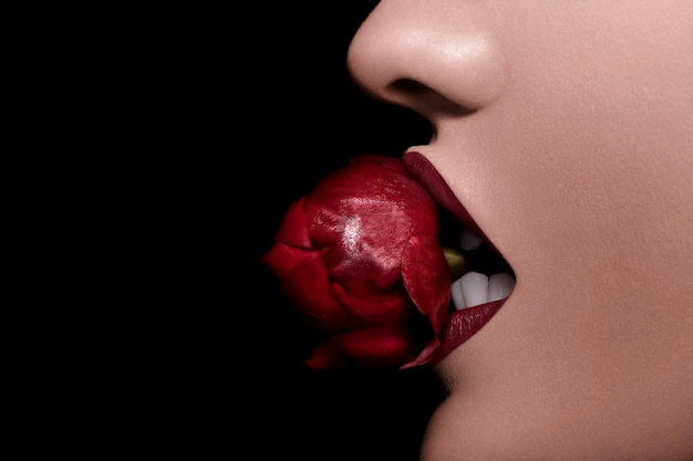 Bitting sexy a rose in red lips on black bakcground with copyspace awailable