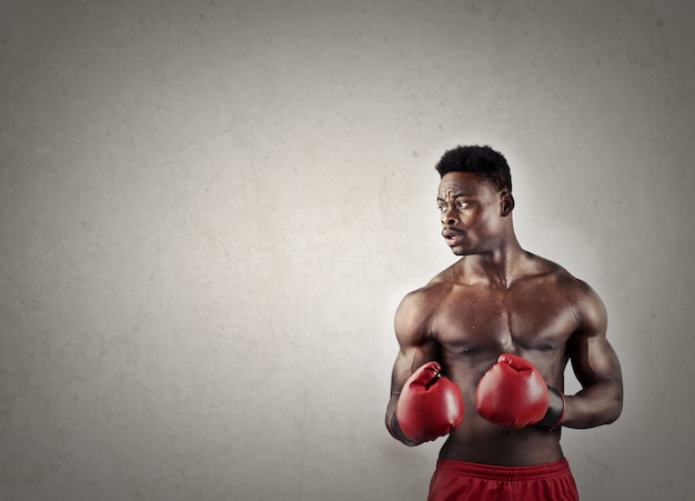 Black Boxer mit Handschuhen