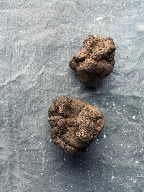 Foto black truffle mushroom on gray background