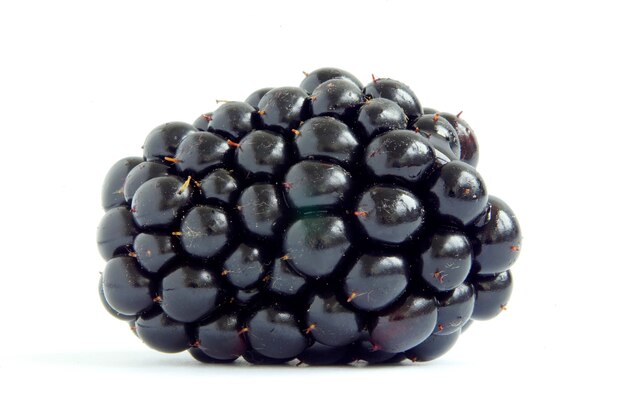 Blackberry aislado