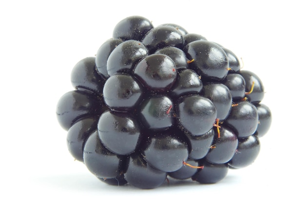 Blackberry (em inglês)