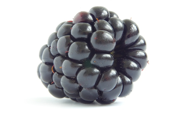 Blackberry isolado na superfície branca