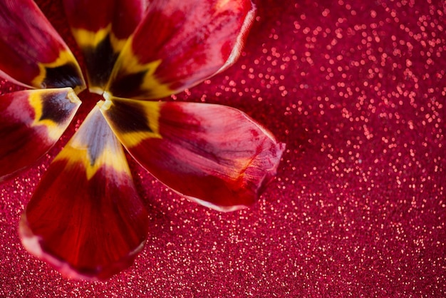 Blätter und roter Glitzerhintergrund, rote Tulpe mit Glitzerhintergrund