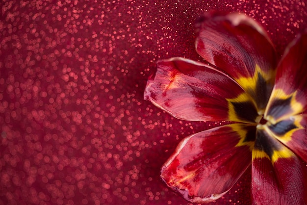 Blätter und roter Glitzerhintergrund, rote Tulpe mit Glitzerhintergrund