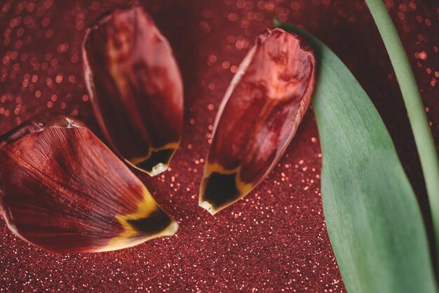 Blätter und roter Glitzerhintergrund, rote Tulpe mit Glitzerhintergrund