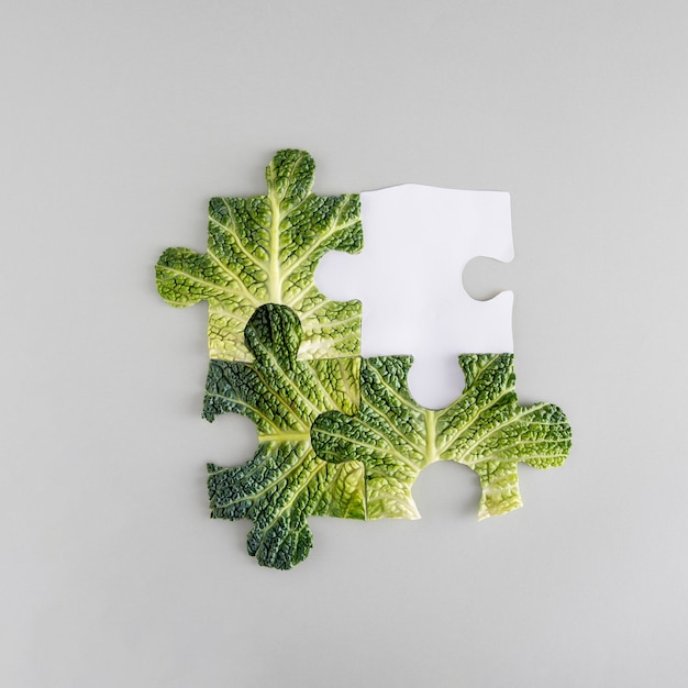 Foto blätter von frischem grünkohl, die als puzzle isoliert auf grauem hintergrund angeordnet sind. quadratisches layout mit kopienraum. flach legen