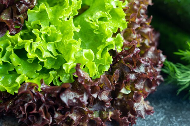 Blätter von grünem und rotem Salat Vorteile und Vitamine der Frühlingsernte Auf einem dunklen Hintergrund kopieren Sie Platz