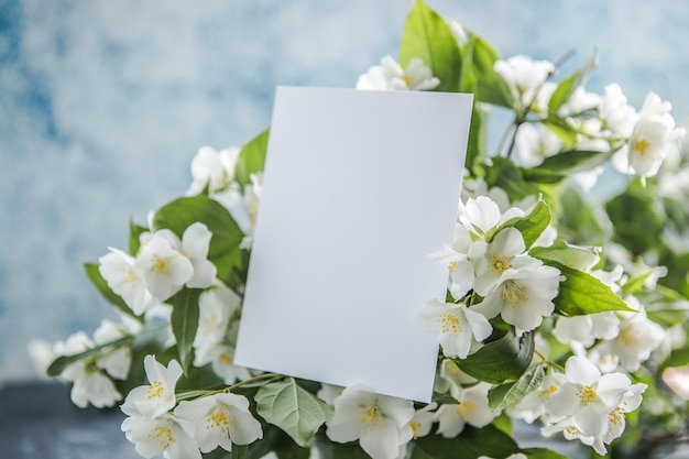 Blank mit Bouquet von Jasminblüten auf blauem Hintergrund Frühlingsblumen