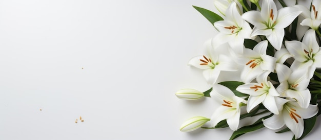 Blanker Begräbnisrahmen und Lilienblumen auf weißem Hintergrund
