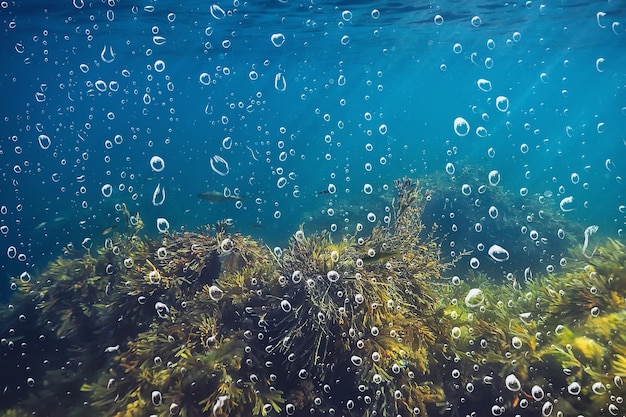 Blasen Luft unter Wasser Ozean Hintergrund Tauchen Natur abstrakten Hintergrund Unterwasser