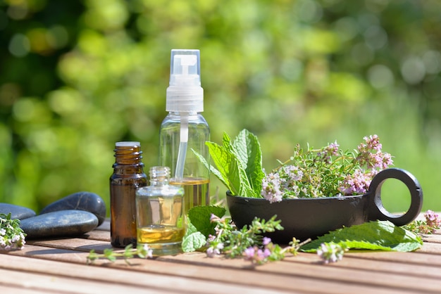 Blatt der aromatischen Pflanze und Flaschen des ätherischen Öls angeordnet auf einem Tisch in einem Garten