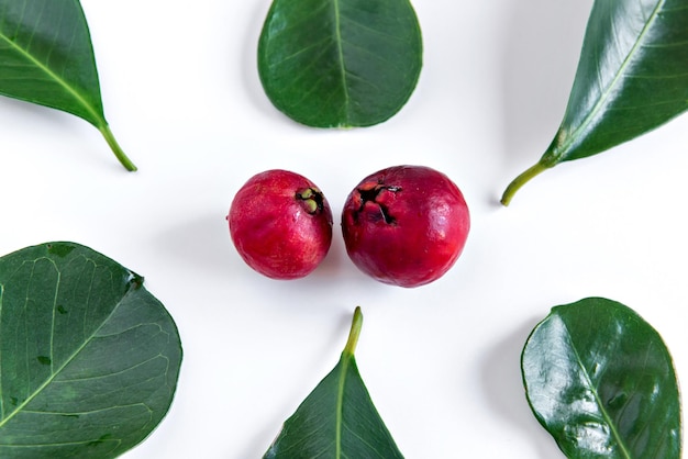 Blatt und Frucht Cattley Guave rote Frucht Psidium cowyanum auf Draufsicht des weißen Hintergrundes