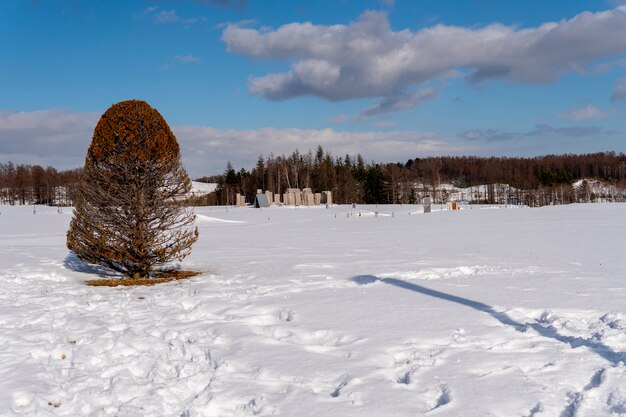 Blattloser Baum auf Winterlandschaft