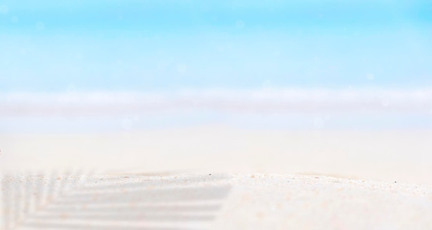 Blattschatten an der Strandlandschaft rote Muscheln im Sand Panorama Sommerzeit Konzept