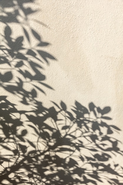 Blattschatten an der Wand