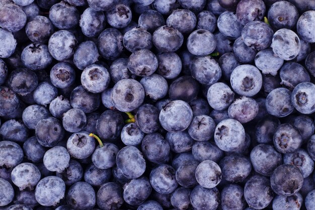 Blau getönten frischen Blaubeerbeeren Hintergrundmuster Nahaufnahme Draufsicht