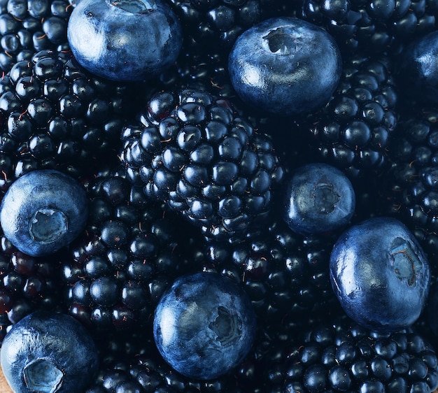Blaubeer- und Brombeerhintergrund Reif und saftig frisch gepflückte reife Beeren im Hintergrund